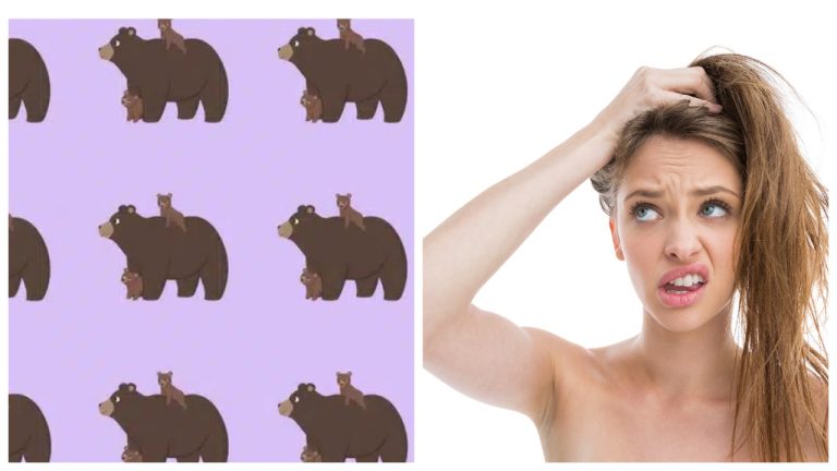 Загадка на внимательность: Сможете найти отличающуюся группу медведей за 10 секунд?