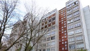 Капризы декабря: завтра в Латвии - рекордное тепло и дожди