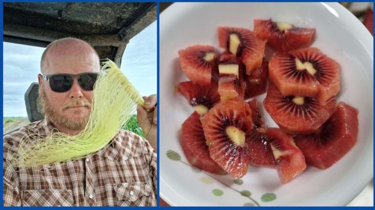 Секреты повседневности: 18 кадров, которые изменят ваше представление о мире