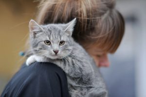 Для уменьшения очередей на вторичные амбулаторные услуги нужно еще 100 млн евро