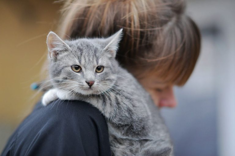 «Животное - не имущество»: в Сейме рассматривают инициативы, которые могут изменить судьбу тысяч питомцев