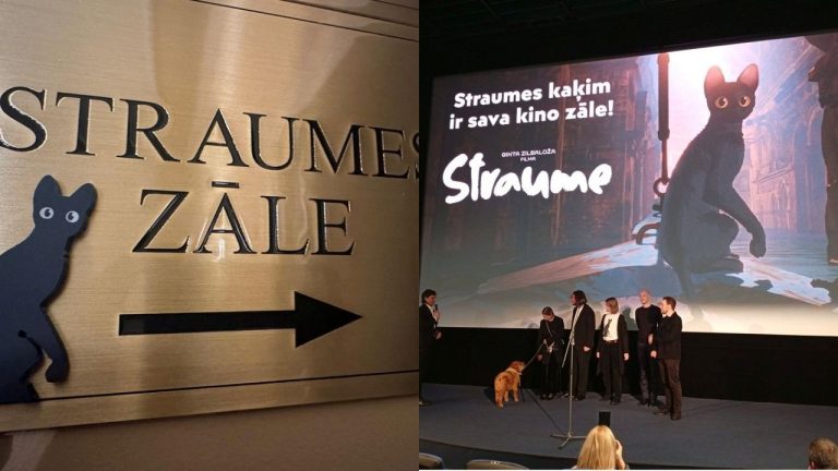 Splendid Palace открыл обновленный зал Straume: стены украшены кадрами из мультфильма