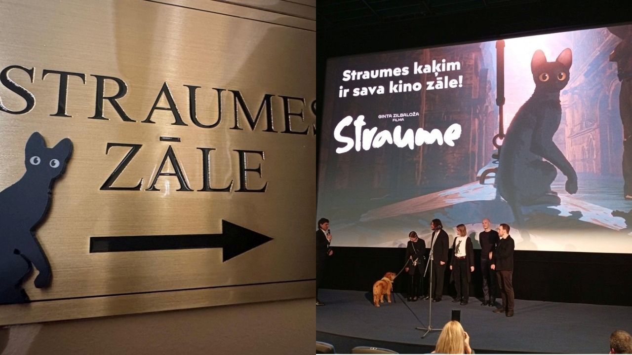 Splendid Palace открыл обновленный зал Straume: стены украшены кадрами из мультфильма