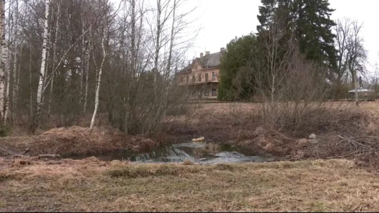 Трагедия в Ропажи: мать признала вину в гибели шестилетней дочери, утонувшей в пруду возле дома