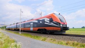 Трагедия в Ропажи: мать признала вину в гибели шестилетней дочери, утонувшей в пруду возле дома