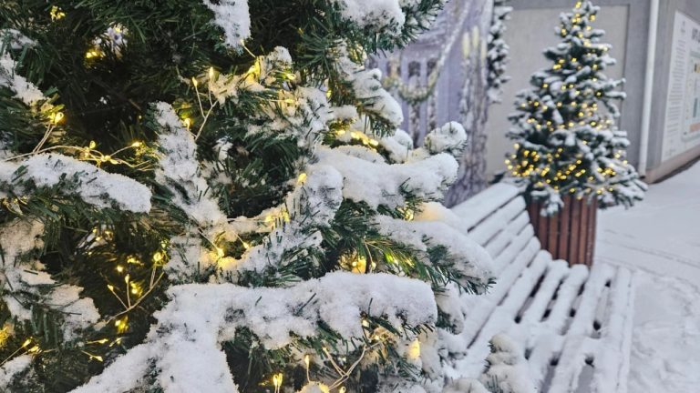 Начало декабря было теплее нормы. А в субботу ожидается мороз