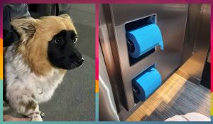 Ариана Гранде или Гвинет Пэлтроу? Критик ScreenRant Крис Гуд назвал актрис, которые могут получить «Оскар-2026»