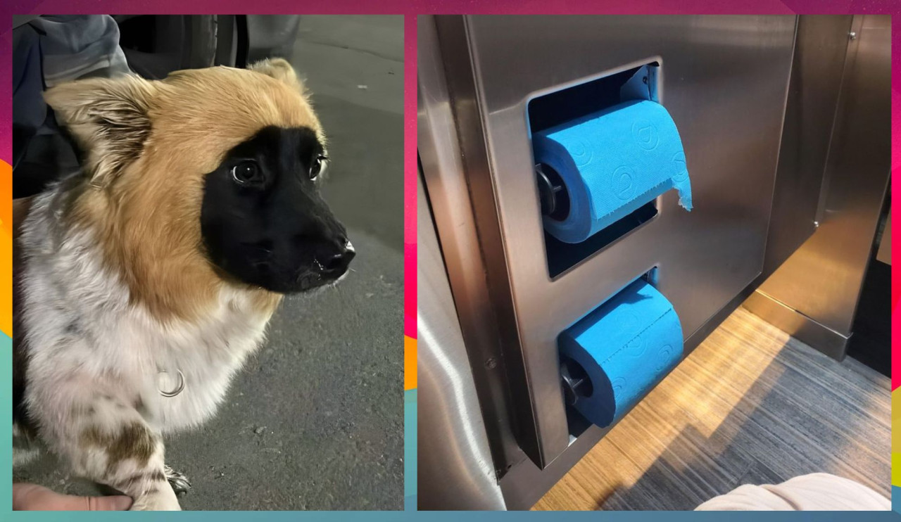 В Латвии выявлено 864 новых случая COVID, скончались трое