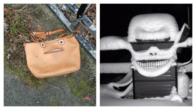 Вы тоже это видите? 15 фото c предметами, которые притворяются живыми