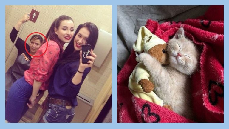 Иногда мир сходит с ума: курьёзные снимки, сделанные в нужный момент