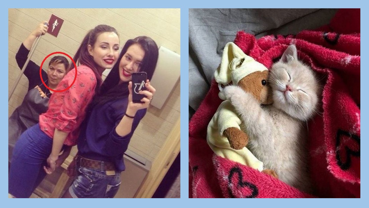 Семечки есть? А если найду?  Фото очень харизматичных птиц от которых можно и клю