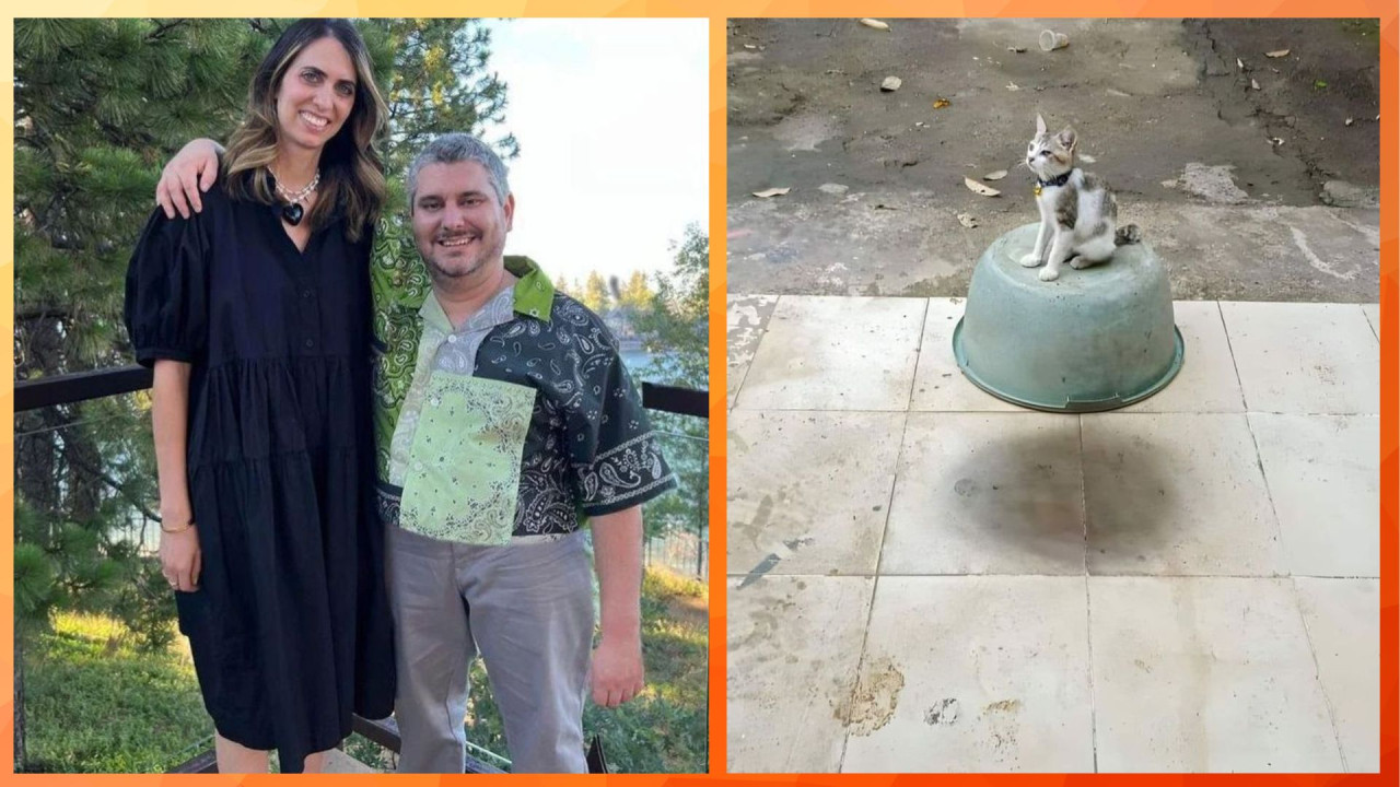 Она все равно возьмет свое. Наглядные примеры того, насколько природа сильнее человека