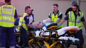 Более 600 млн просмотров: реклама французского супермаркета о волке-вегетарианце стала хитом в интернете