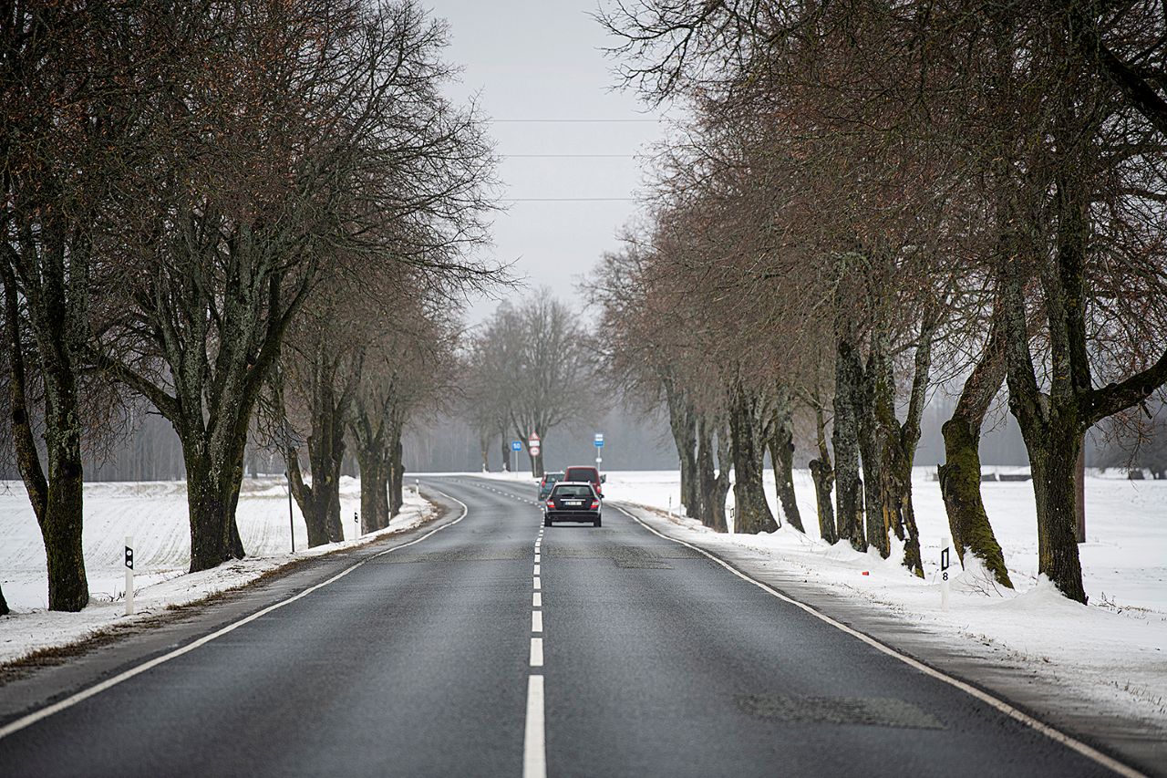 Снег, лёд и повышенный риск: в Видземе и Латгалии осложнено движение на главных трассах