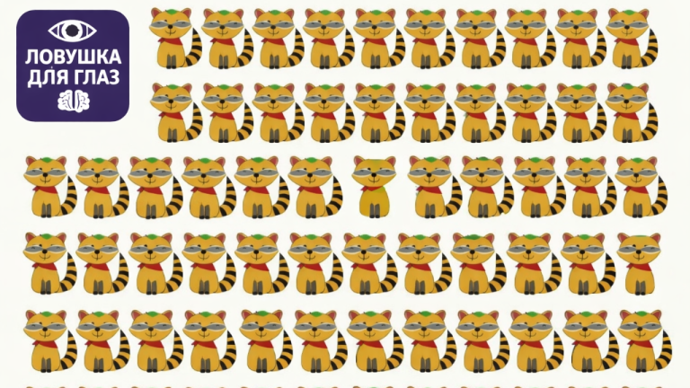 🔍 Ловушка для глаз: найдите трёх отличающихся енотов за 20 секунд