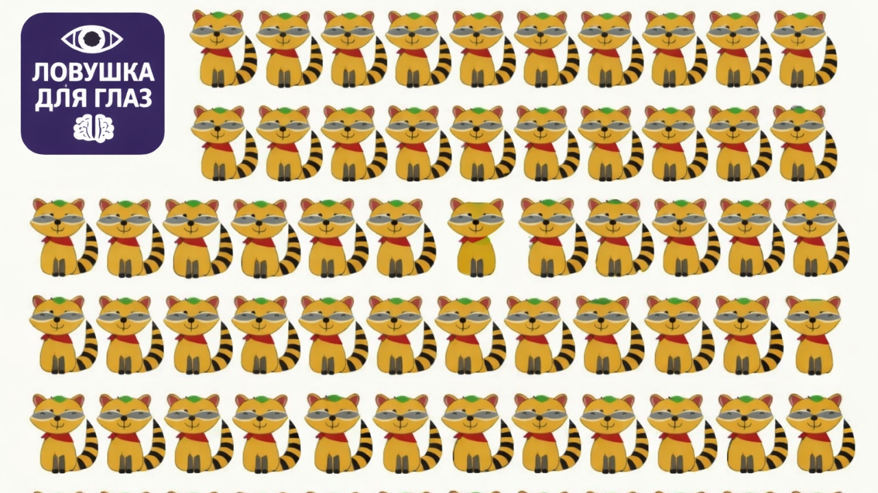 🔍 Ловушка для глаз: найдите трёх отличающихся енотов за 20 секунд