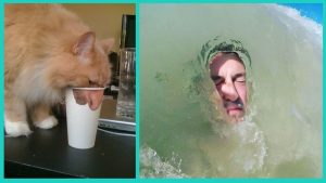 Таро-гороскоп на 16 декабря 2025 года: послание карт для всех знаков Зодиака