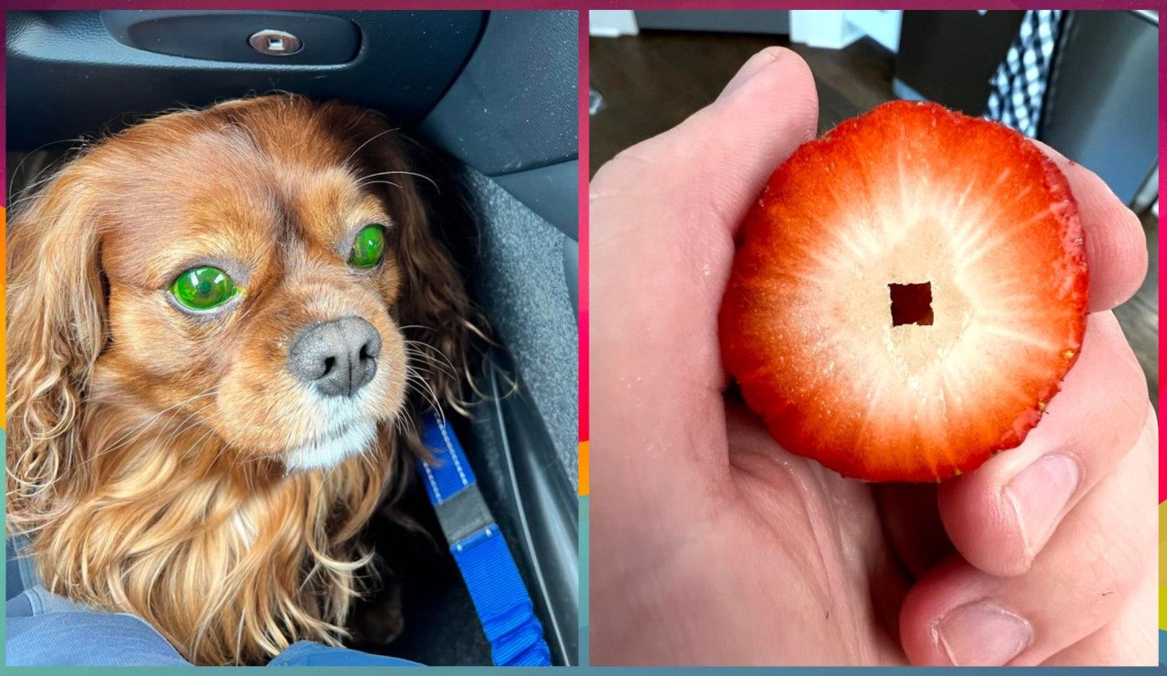 Гороскоп критиков: 5 знаков зодиака, которые любят осуждать других людей