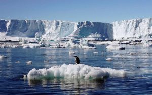 По следам трагедии в Бонди: пожилые супруги пытались остановить террориста и были убиты