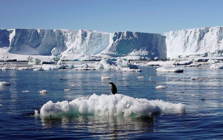 Арктика пережила самый жаркий год в истории: данные за 125 лет наблюдений