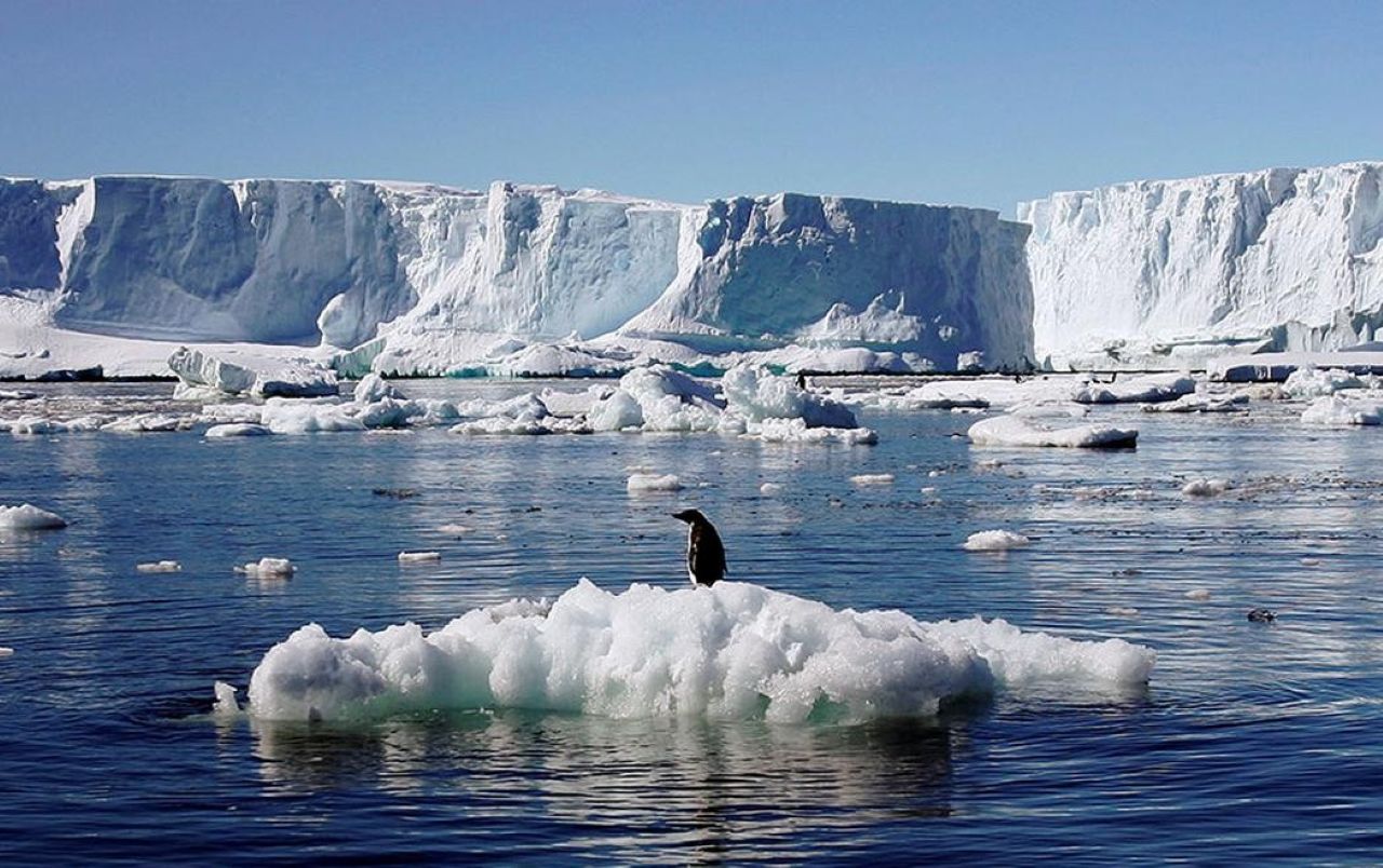 Арктика пережила самый жаркий год в истории: данные за 125 лет наблюдений