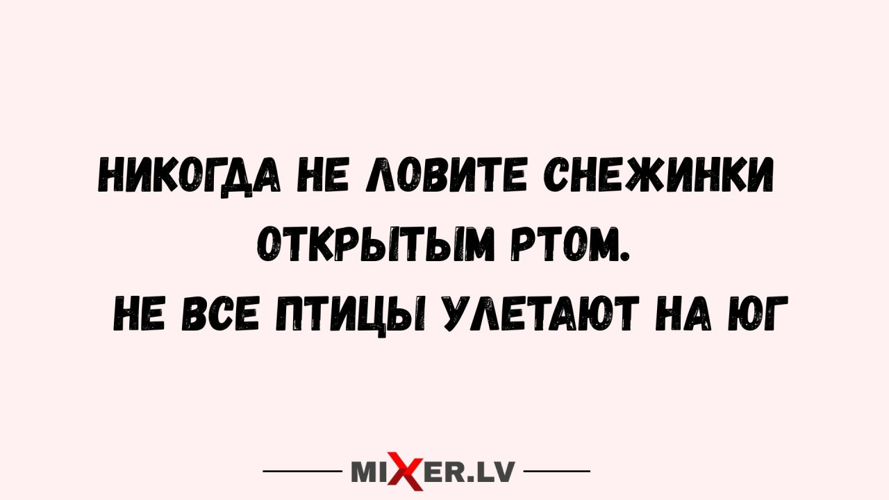 Юмор за день и снежинки