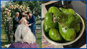 Психологи назвали 11 скрытых неуверенностей родителей, которые хвастаются своими детьми в соцсетях