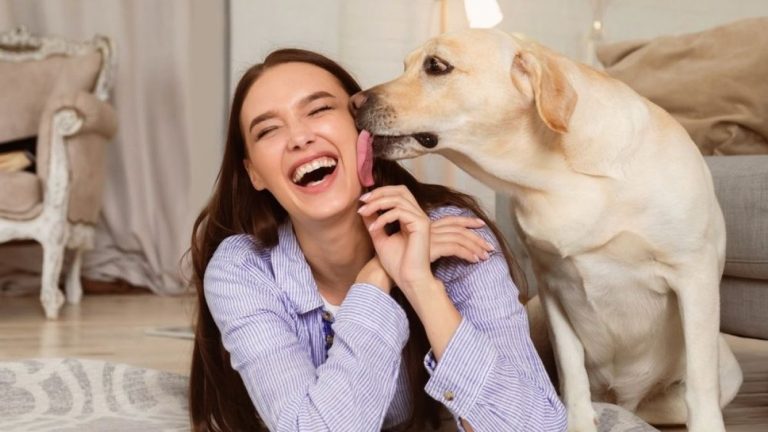 🔍 5 скрытых причин, почему собака вас облизывает. И только одна из них - про «любовь».