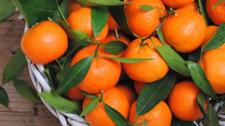 Мандарины: витамин радости или сладкий риск?