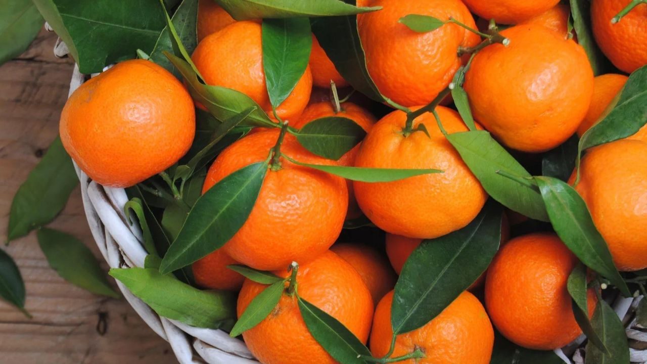 Найди кота, проверь IQ: с этой задачей в состоянии справиться лишь 1% людей