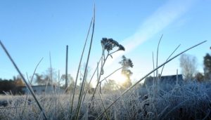 Ещё 260 млн евро на Rail Baltica: в Латвии ускорят строительство трассы и станций