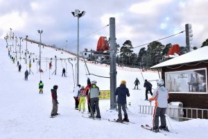 Где и как легально срубить рождественскую елку в государственных лесах Латвии