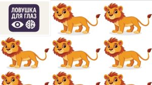 Юмор за день и рыбный плов с огурцами