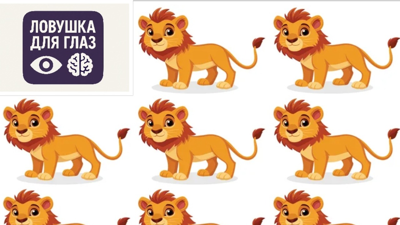 🔍 Ловушка для глаз: найдите отличающегося льва за 20 секунд