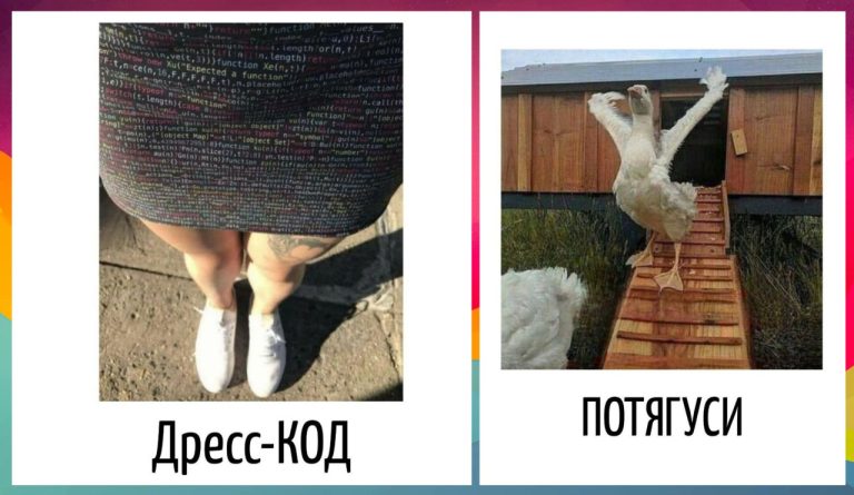 Игра слов и юмор в прикольных картинках с каламбурами