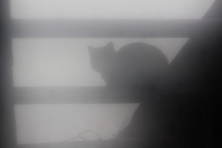 Осторожно, густой туман! В Латвии объявлен оранжевый уровень опасности