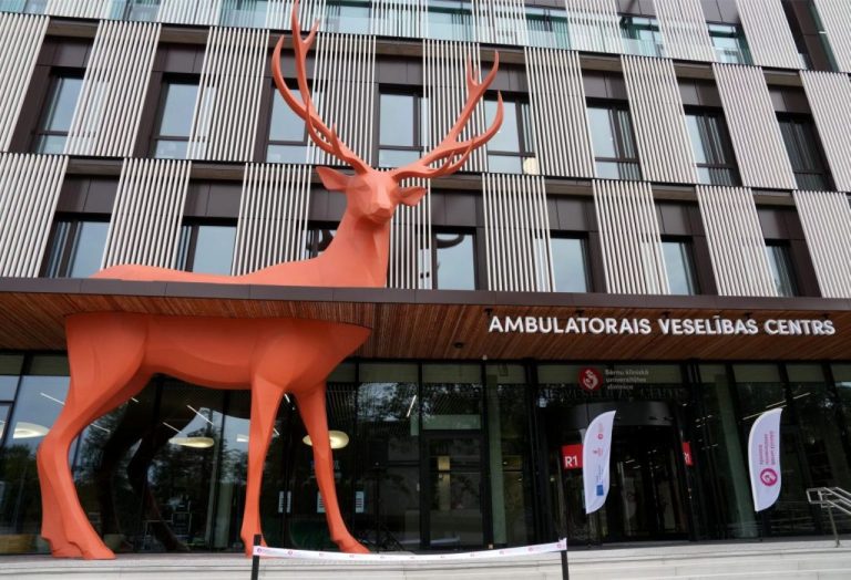 Детская и Восточная больницы получат 1,44 млн евро - куда направят дополнительное финансирование