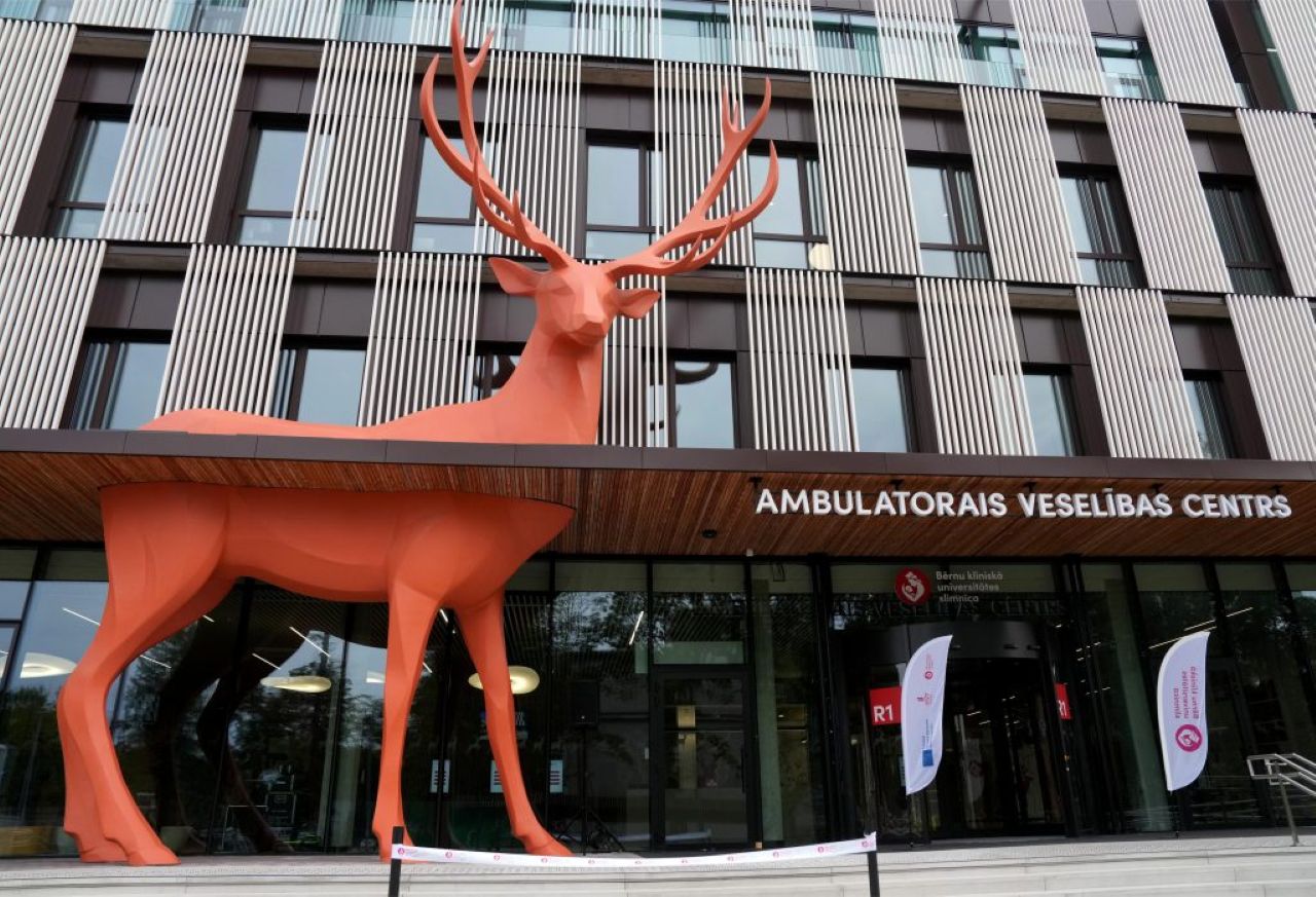 Детская и Восточная больницы получат 1,44 млн евро - куда направят дополнительное финансирование