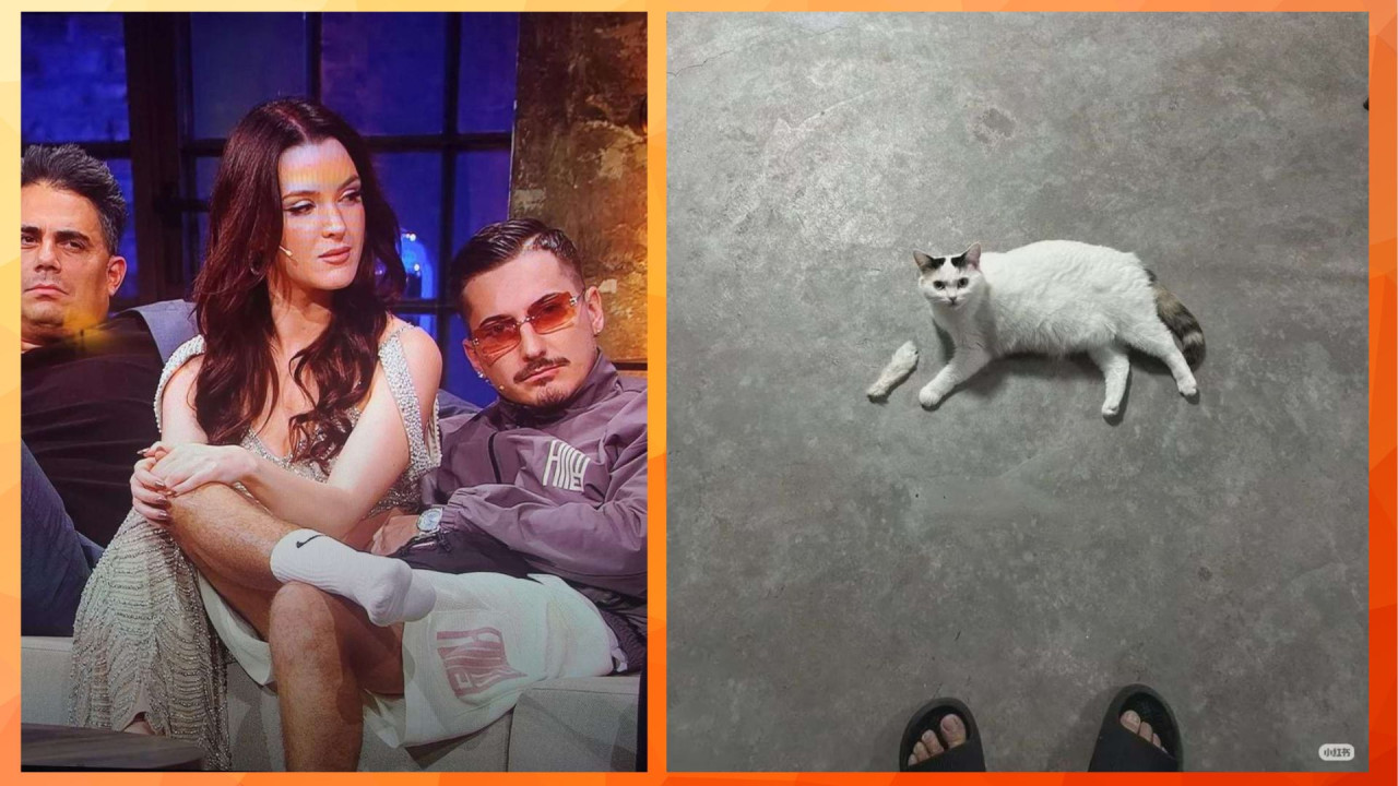 Премьер-министр доложил Сейму о работе правительства: конструктивно и ответственно