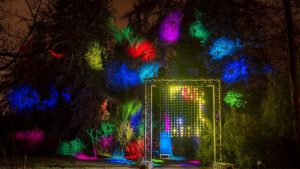 Рижский зоопарк приглашает на «Зимние ночи» и посмотреть на новорожденного ленивца