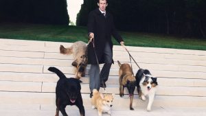 Кеннеди-центр переименуют в Трамп-Кеннеди-центр: дискуссии и буря возмущений