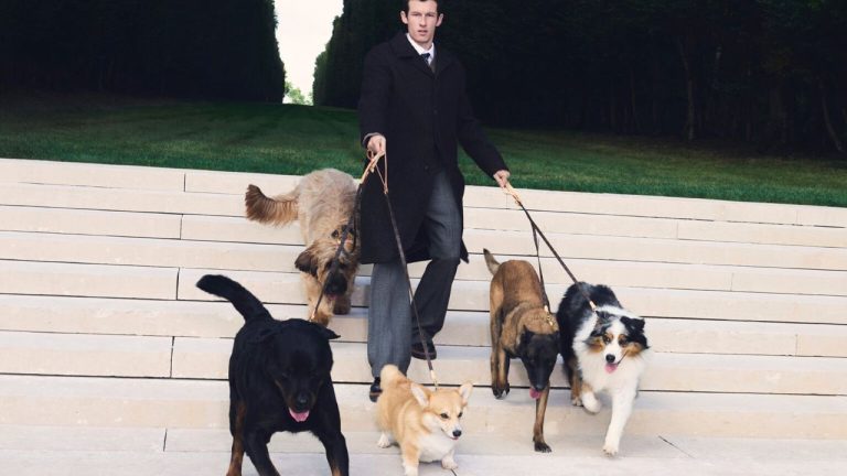 «Переноска, шлейка, поводок»: Louis Vuitton выпустил коллекцию аксессуаров для собак