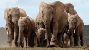 Где в ЕС студенты чаще всего бросают учебу - статистика Евростата