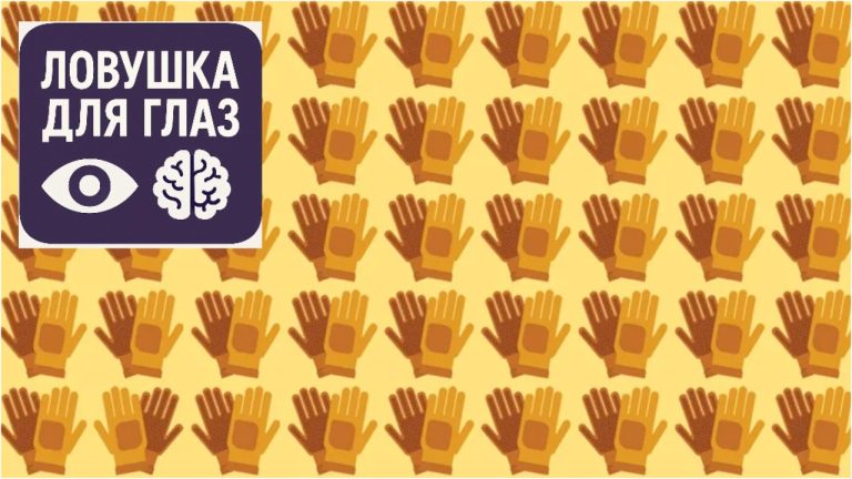 🔍 Ловушка для глаз: найдите отличающуюся пару перчаток за 20 секунд