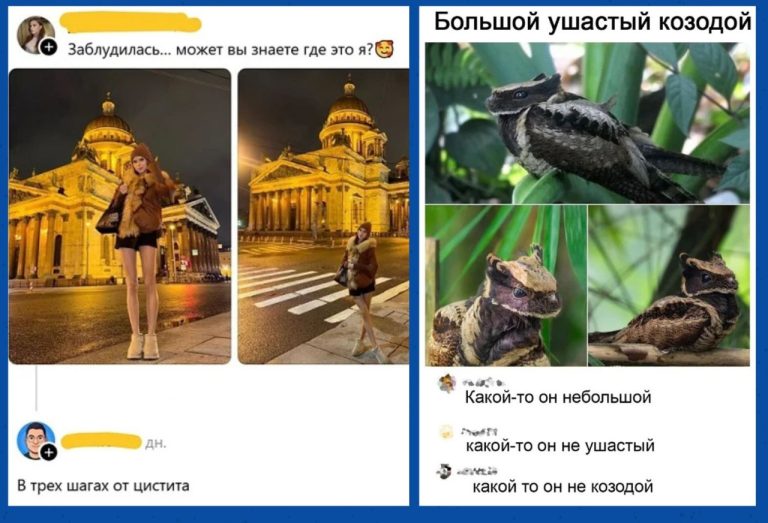 Забавные комментарии, которые как острый соус приправляют сам пост