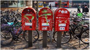 В Индии пассажирский поезд врезался в стадо слонов: погибли семь животных