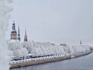 Цена вопроса - 500 евро. Многодетная мама из Даугавпилса просит помощи на лечение 5-летнего сына