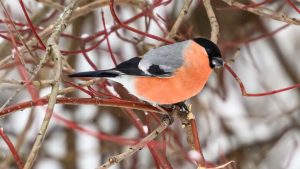 Рост ВВП в уходящем году может составить 1,5-2% - это лучше, чем в предыдущие годы