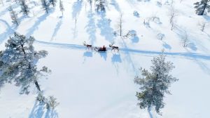 Саудовская Аравия в 2025 году казнила рекордное число людей