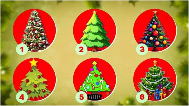 Новогодний тест покажет, идете ли вы своим путем. Выбор ёлки даст ответ на вопрос: всё ли я делаю правильно?